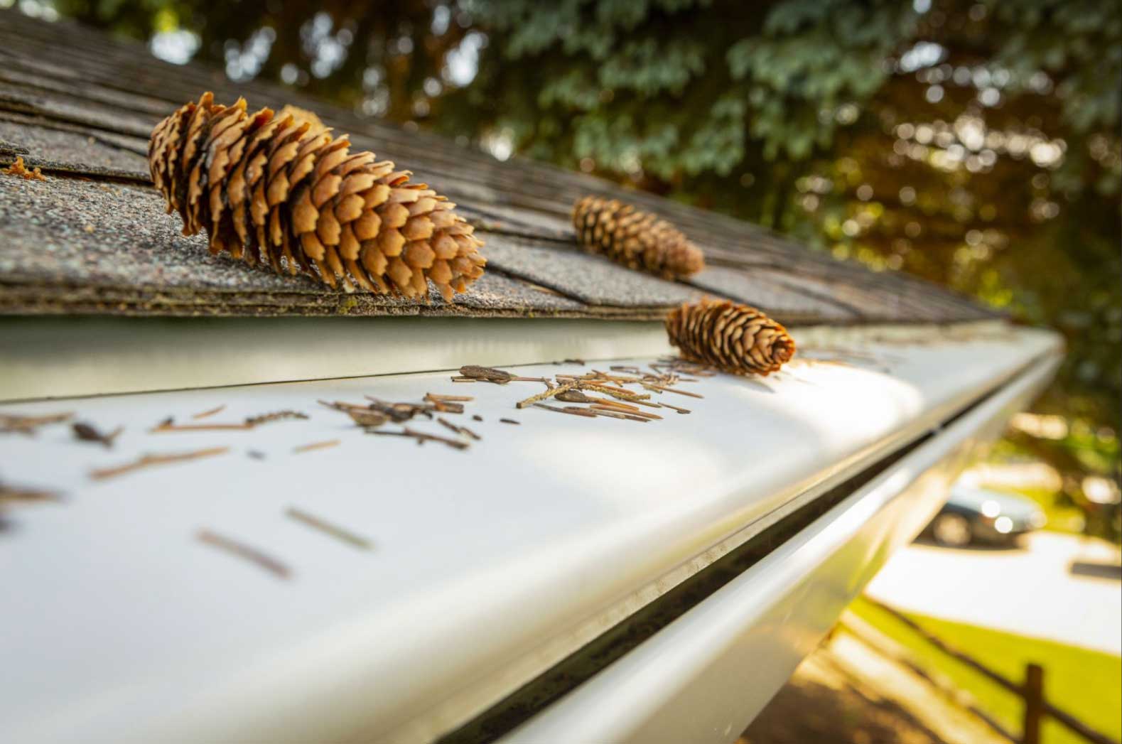house with pine straws and pine cones on top of k-guard gutter system hood